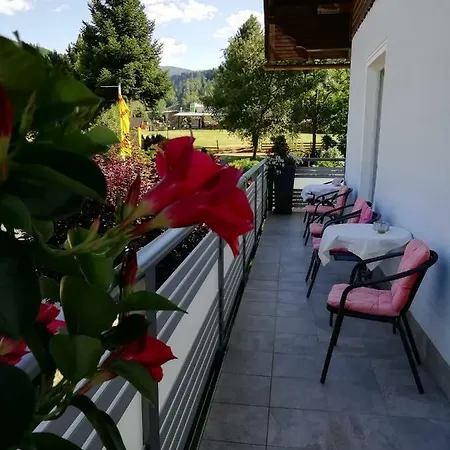 Appartement Strauss Sankt Lorenzen ob Murau